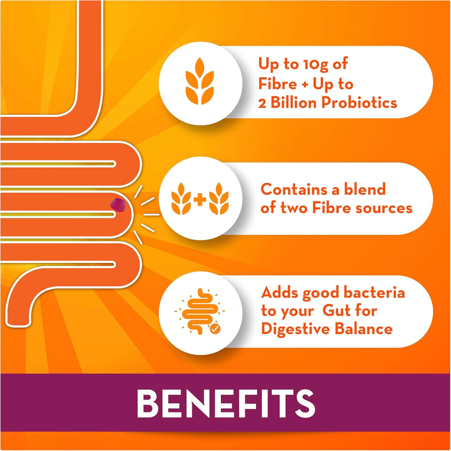 Meta Fibre + Probiotic Gummies 60Ct