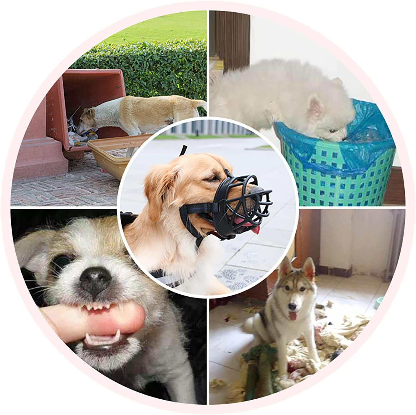 Proxima Direct Dog Muzzle, Breathable Basket Muzzles for Medium Dogs, Stop Biting, Barking and Chewing, Best for Aggressive Dogs. image number 1