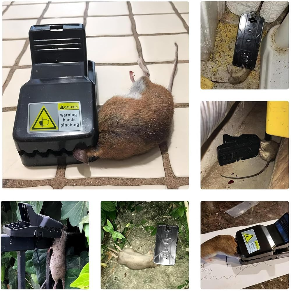 MTSDM 6 Pack Rodent Trap, 5.6 Inch Rat Traps for House Indoor Outdoor, Easy to Set Reusable Mouse Traps, Instant Kill Pest Control Double Spring Traps for Family Mouse Mice Rat Chipmunk Pest Control image number 2