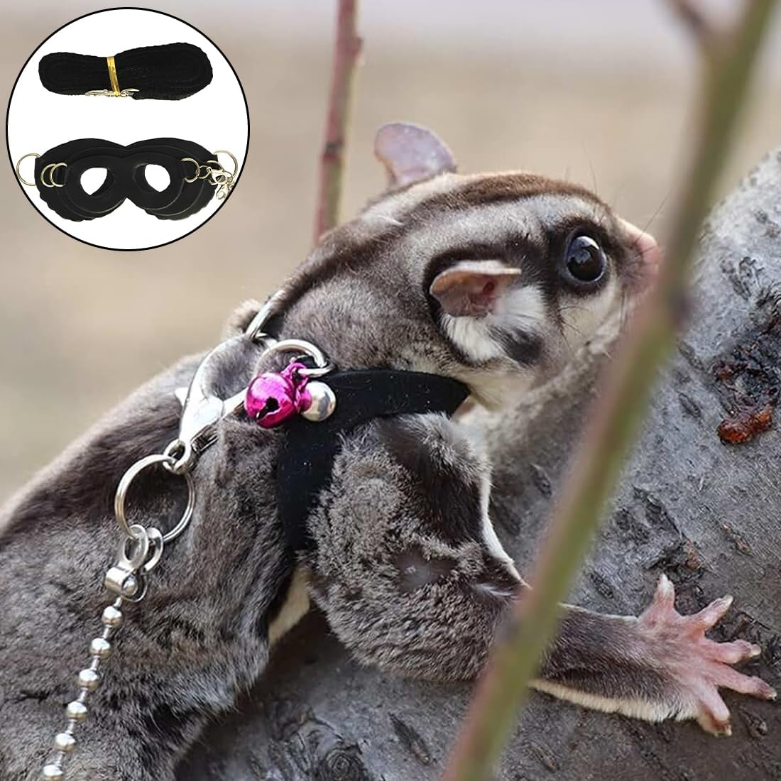 SGERUFZ 3 Piece Harness and Lead Set for Small Pets Training and Walks Vest for Squirrel Hamster Rat Black