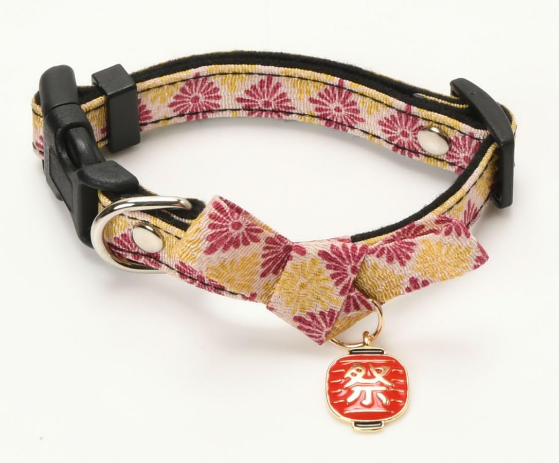 Dog Amo.K 910085-2 M-PUR Collar