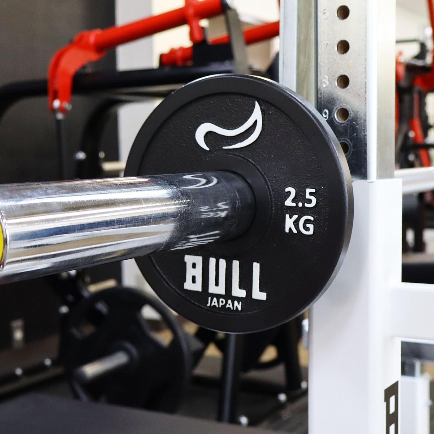 Bull Powerlifting Plates - 2 - IPF Approved Plates