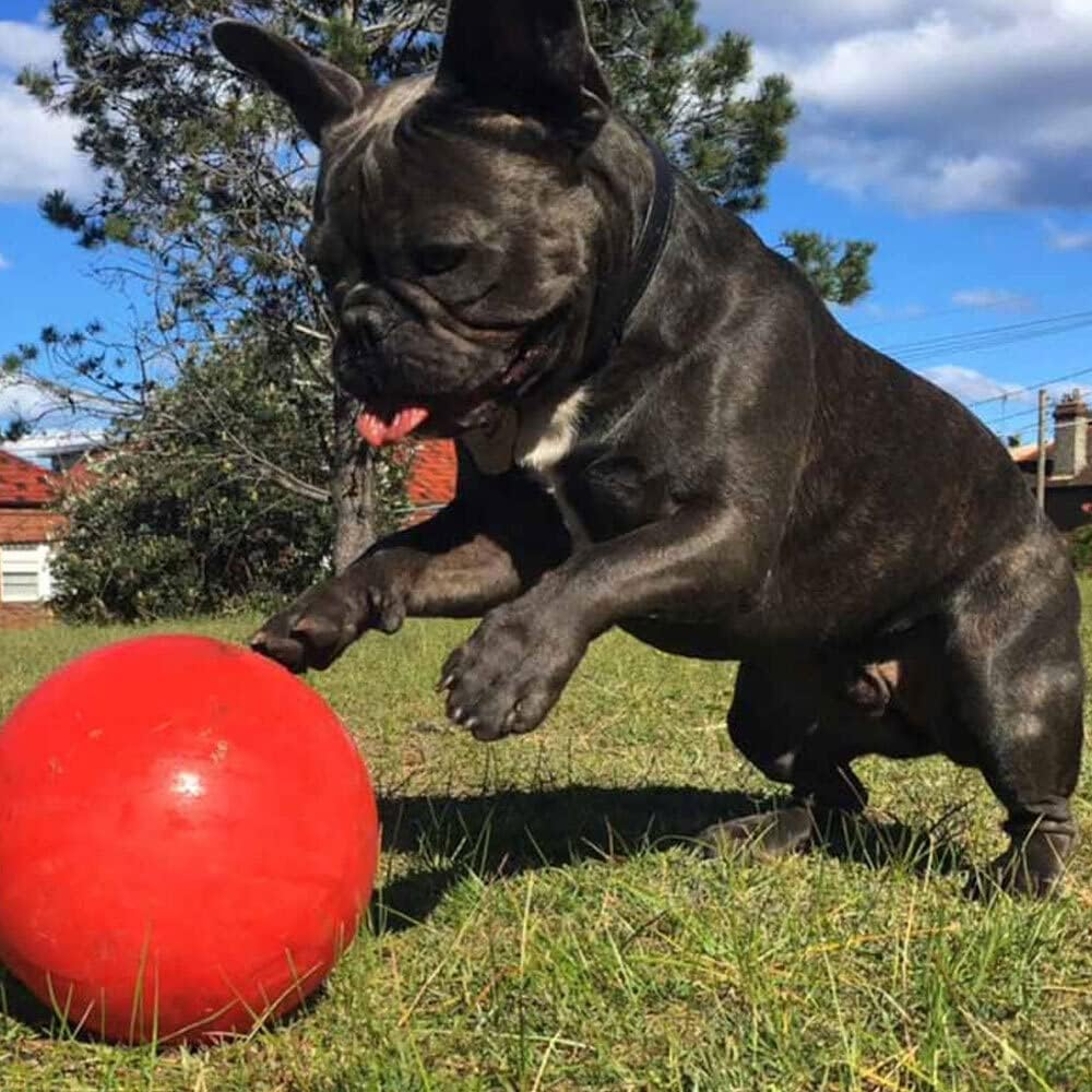 Aussie Dog Products 19Cm Pet Enduro Interactive Hard Ball Play Toy Outdoor Red M image number 1