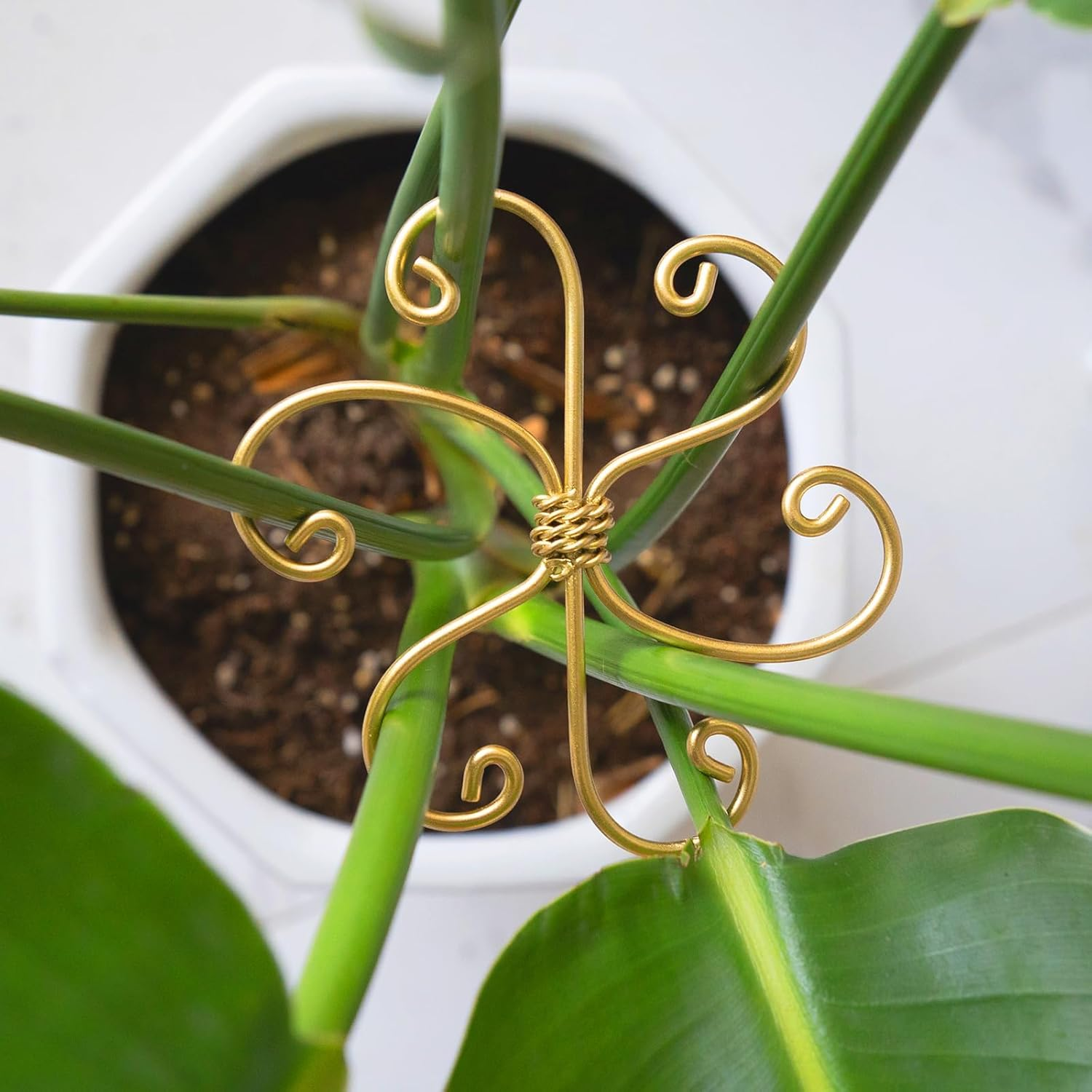 2-Pack Monstera Plant Support System - Durable Hook Stem Supports for Healthy Growth, Stabilizer for Leaves and Turtle Shells, Easy-To-Use Indoor Plant Care, Ideal Present for Plant Lovers image number 6