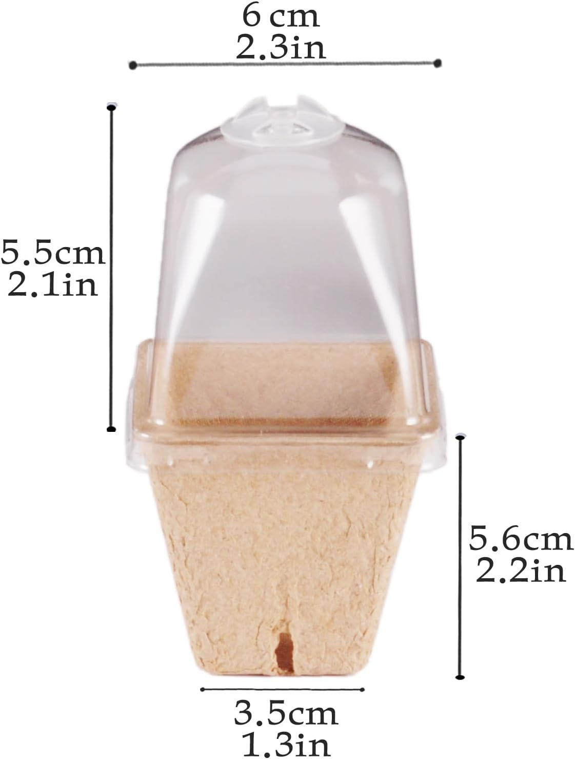 QYINXIU 20 Pcs Biodegradable Nursery Pots, Seeding Starter Pots for Planting, Peat Pots for Seedlings, Garden Vegetable Flower Germination image number 3