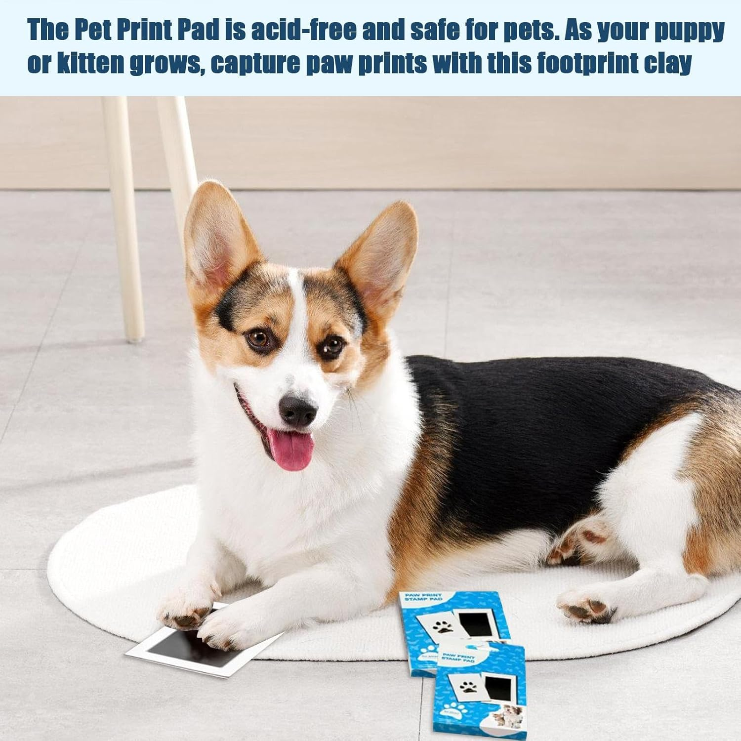 Stamp Cushion with Paw- Souvenir-Pfotenprint-Maker -Achen-Pfotenprintpress-Make, Even the Paw for Dogs Ink Disc Can Be Used 3-5 Times and Works with Paper or Paper