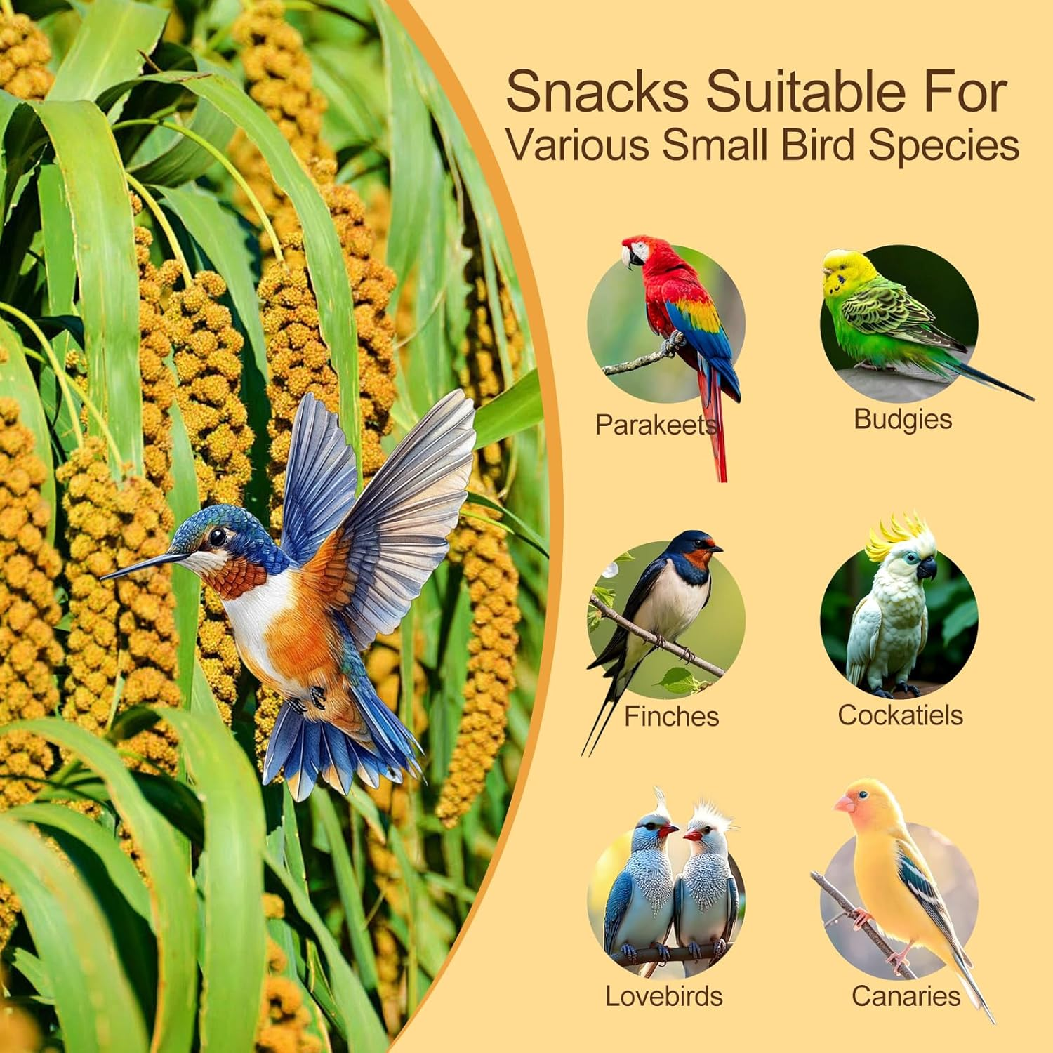 Millet Treat for Birds, Natural Sun-Dried with Stems and Edible Tops for Parakeet, Cockatiel, Budgie, Finches, Parrots, Hamster, Bird Treat image number 4