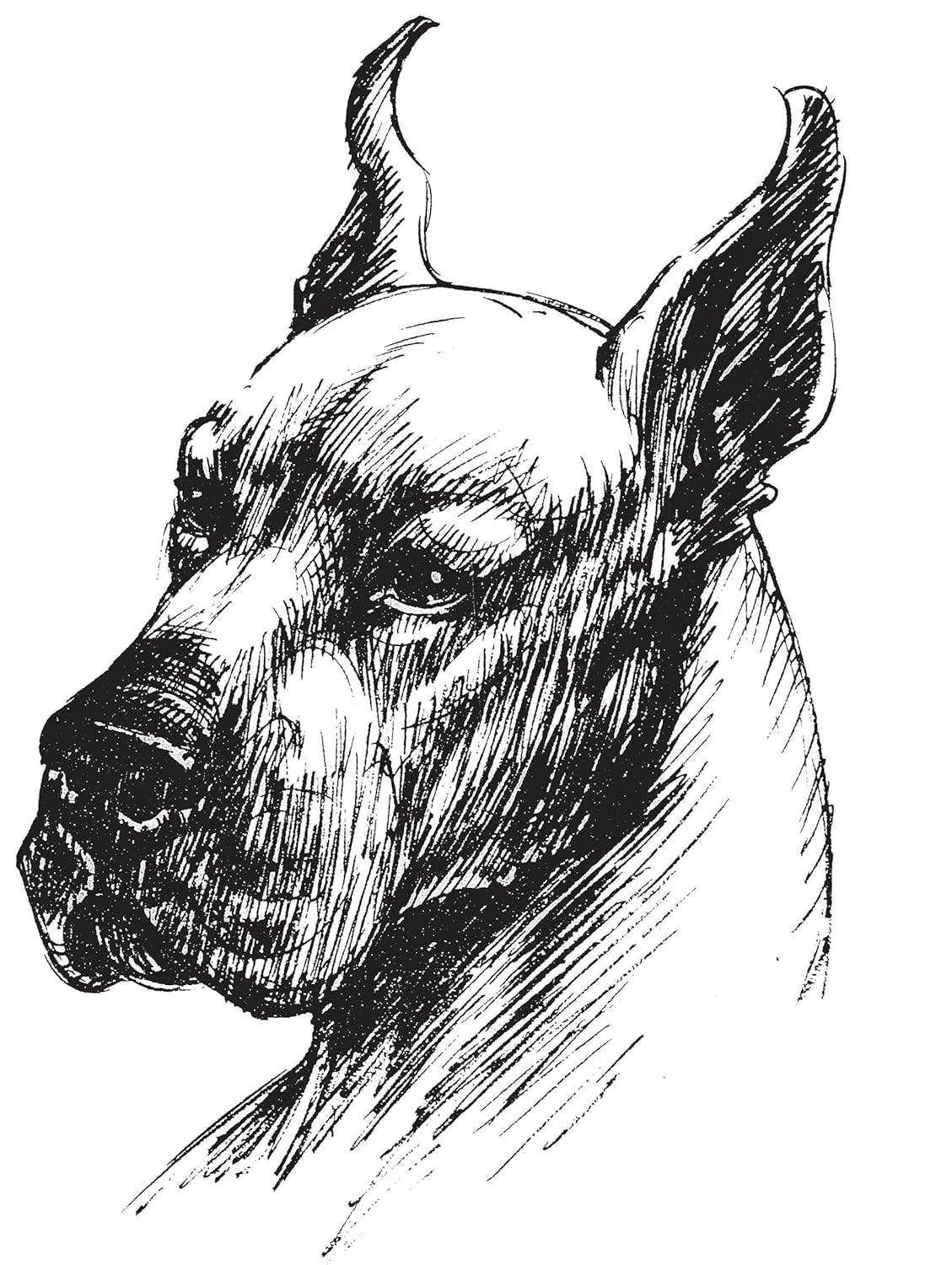 Art of Animal Drawing: Construction, Action Analysis, Caricature image number 2