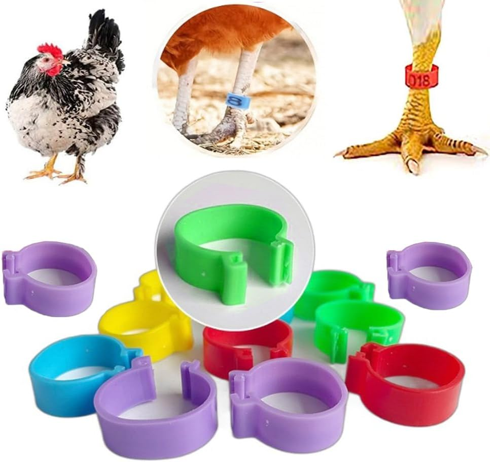 100Pcs Clip on Leg Rings Band Foot, 16Mm Chicken Leg Bands, 001-100 Numbered Pigeon Foot Rings Birds Tags Leg Bands Clip, 5 Colors Numbered, for Poultry Legs,Gamefowl,Ducks,Goose, Bird Identification
