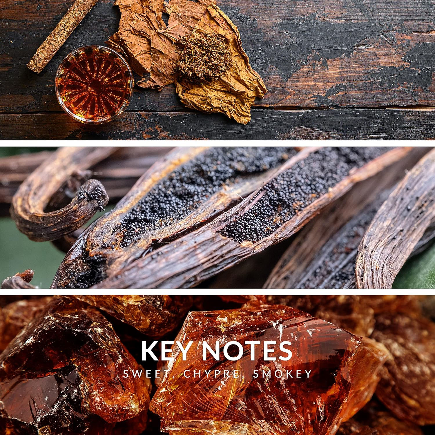 Insurrection II Wild by Reyane Tradition for Men - 3 Oz EDT Spray image number 4