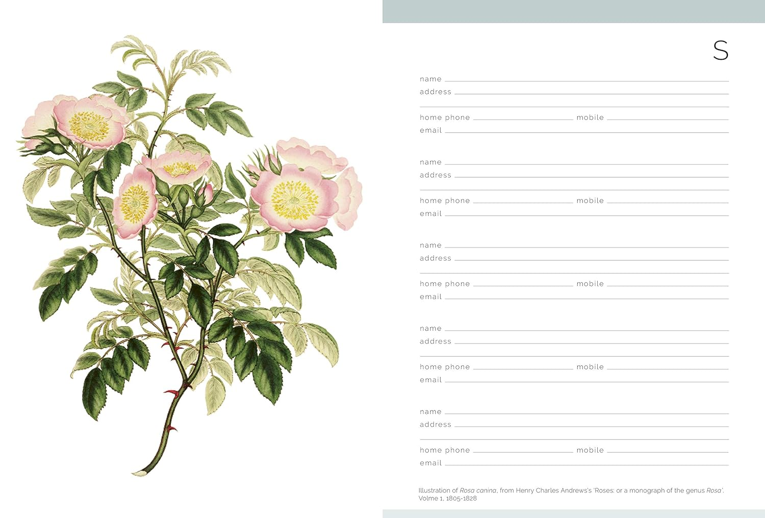 Royal Horticultural Society Desk Address Book image number 1