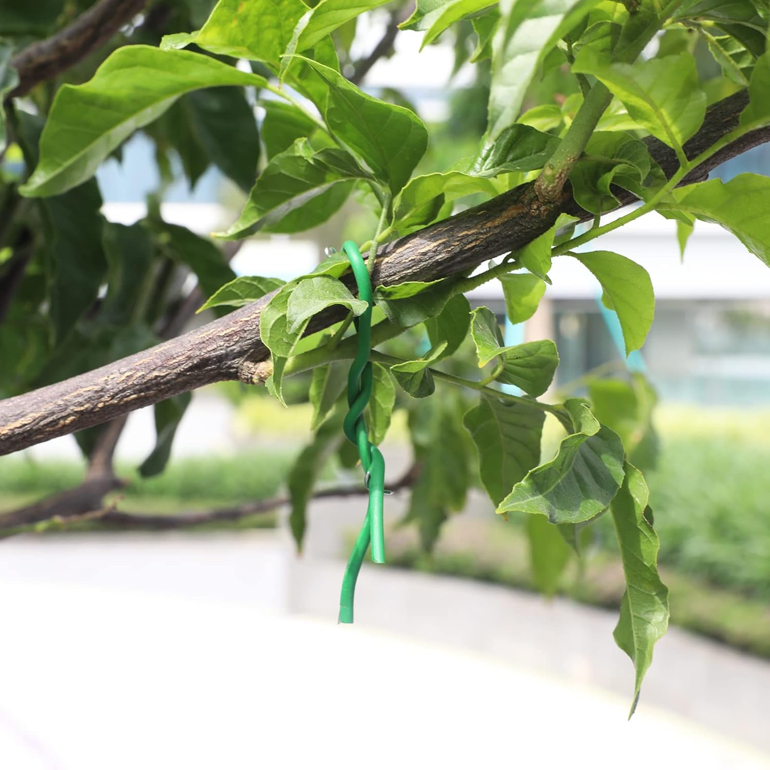 KINGLAKE GARDEN Flexible Soft Wire Ties Soft Garden Plant Ties 3.5Mm 65.6 Feet Green Plant Ties Garden Twist Ties Heavy Duty Garden Wire for Plants image number 1