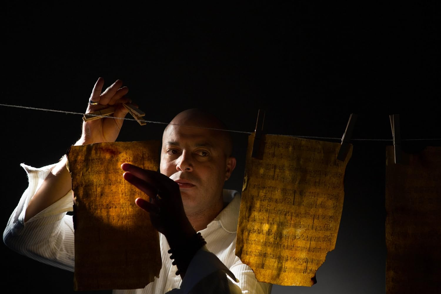 Birds Requiem image number 4