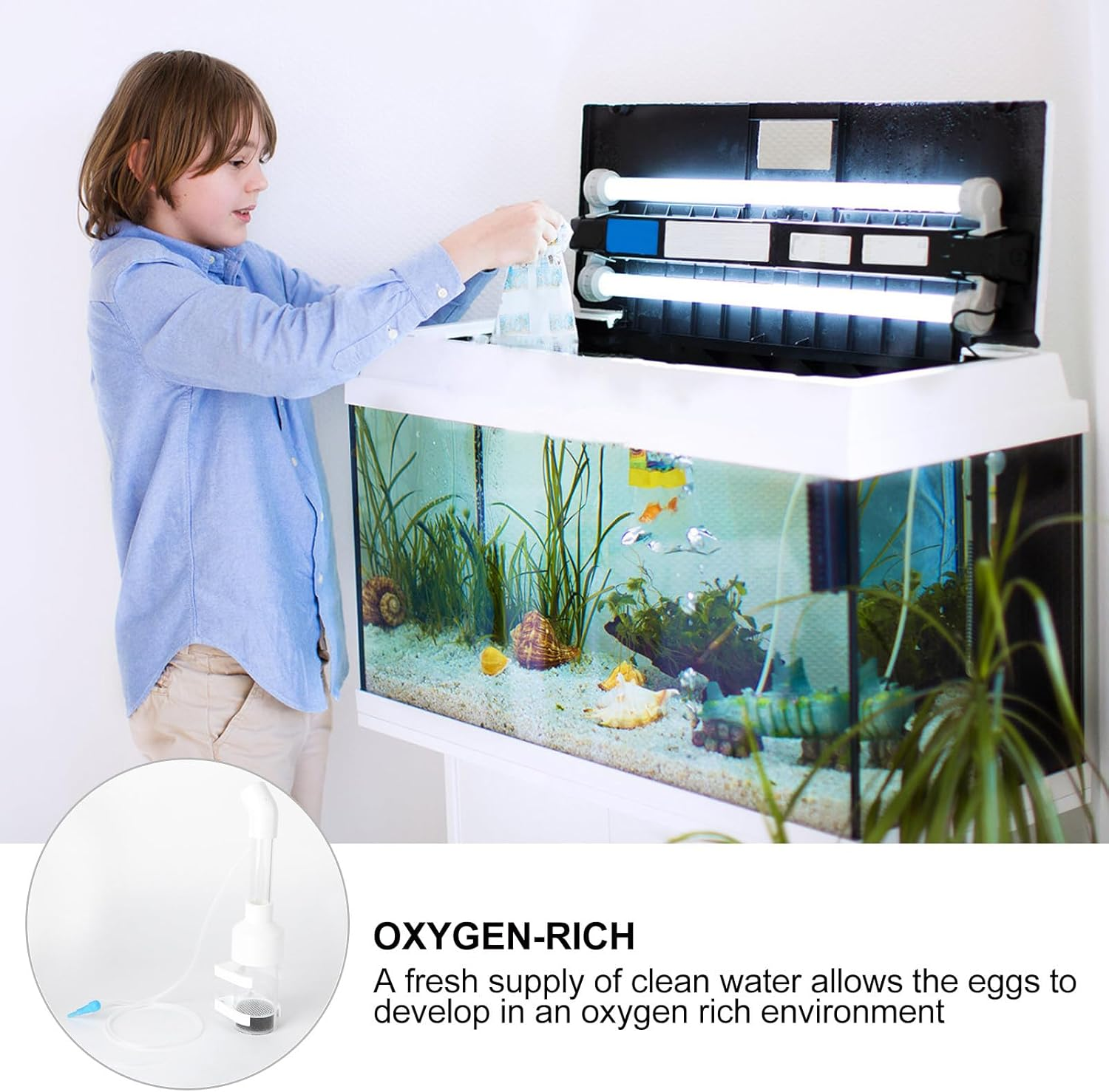 JEWEDECO 2Pcs 50Mm Fish Incubator Tumbler for Aquarium Cichlids Mouth-Brooding Eggs Hatchery Fish Breeding Tank Accessory with Random Color for Aquatic Pets Random Color image number 4