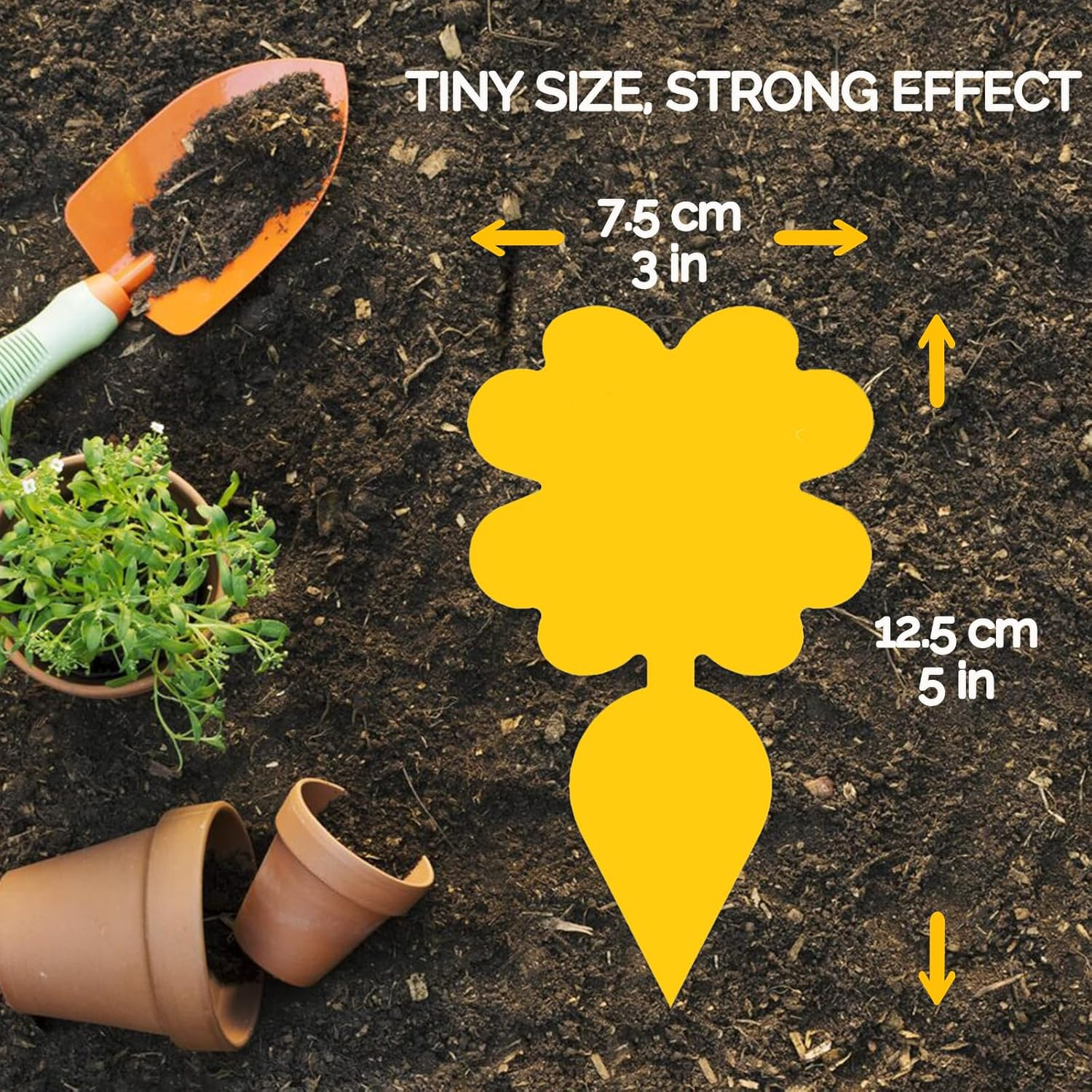 60 Pack Fruit Fly Sticky Trap,Portable Insect Traps for Mosquito Flies Moths,Waterproof Disposable Fly Sticker for Plant,Outdoor Indoor Use image number 1