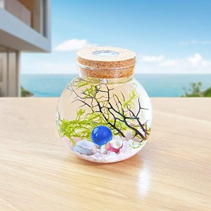 Mini Betta Fish Tank Fish Bowl Fish Tank Decor Flower Pot Hydroponic Plant Terrarium Aquarium Kit with LED Light, Crystal Stone, Java Moss (Style A)&hellip;