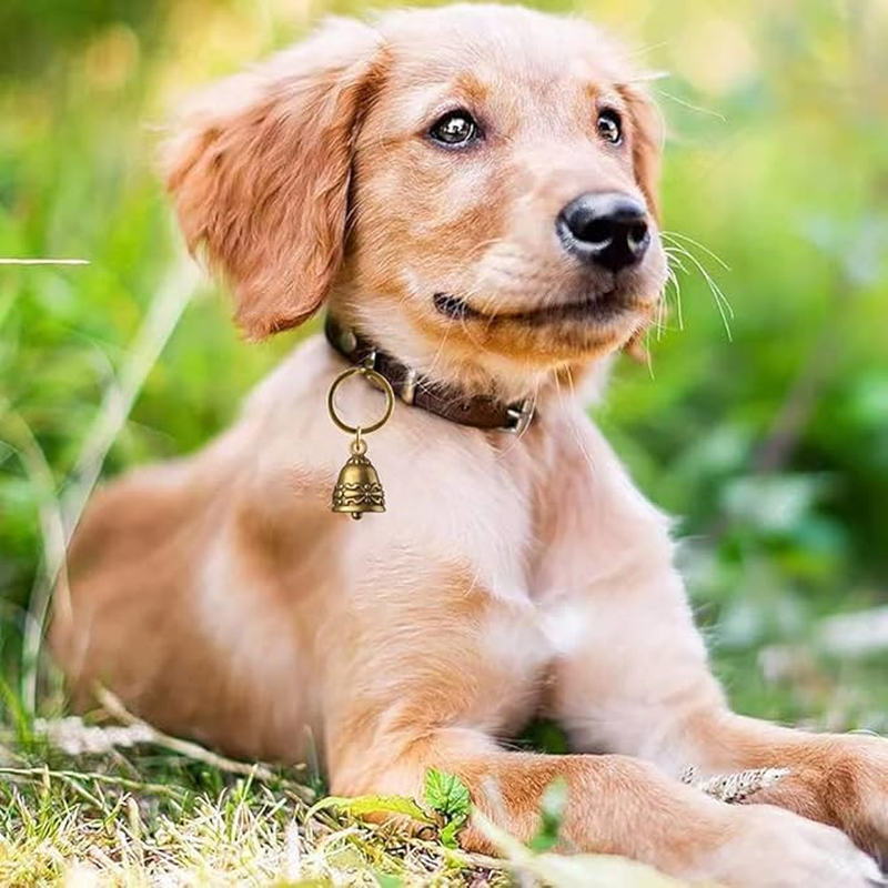 4Pcs Copper Collar Bell for Small Pet, Bell for Cats and Small Dogs Pet Anti-Lost Pendant image number 6