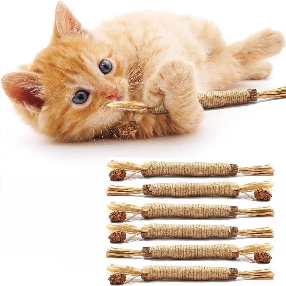 Aufondof 6Pcs Natural Silvervine Sticks, Cat Dental Chew Sticks Cat Toys for Indoor Cats Kitten Teething Toys Teeth Cleaning Toy image number 5