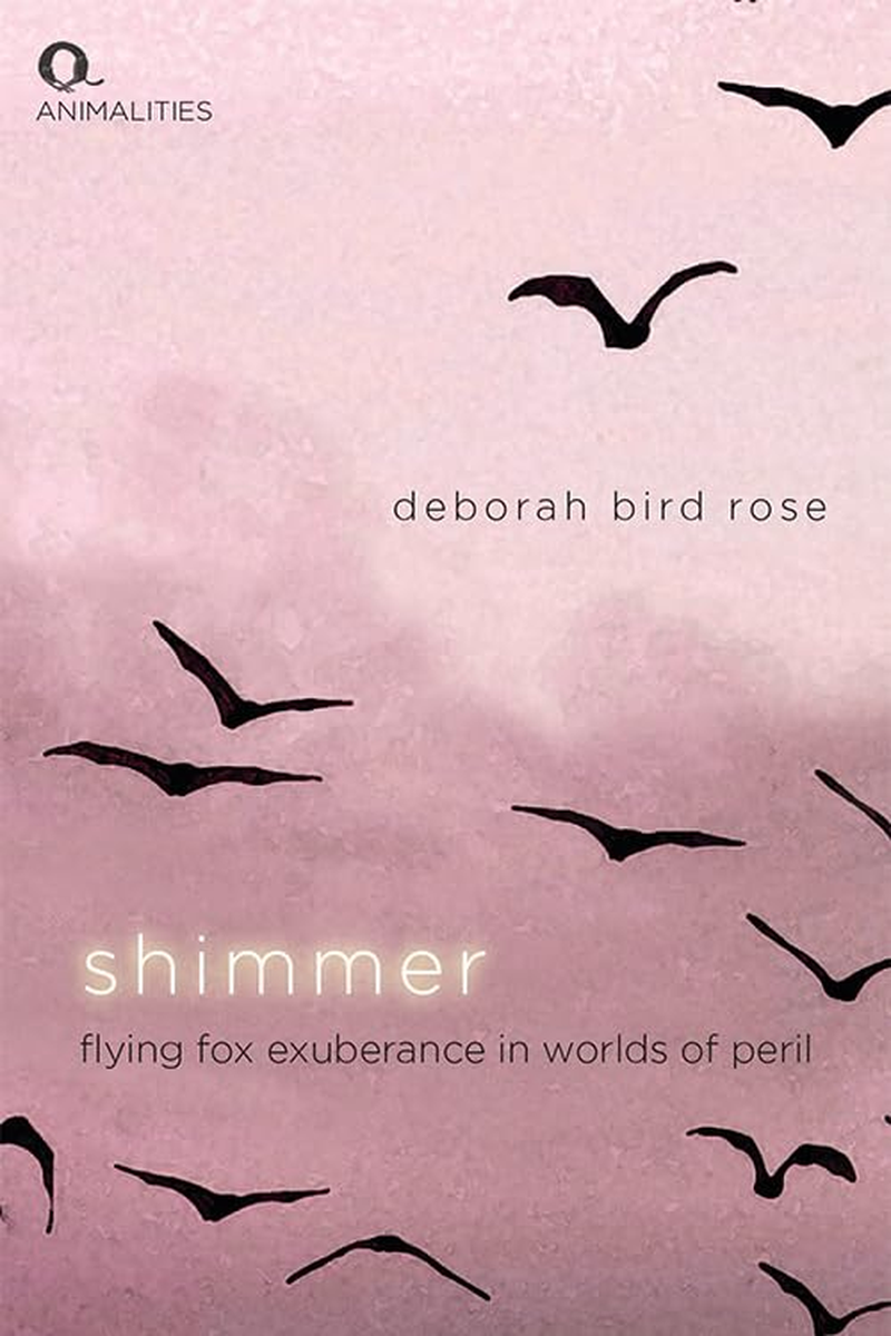 Shimmer: Flying Fox Exuberance in Worlds of Peril image number 1