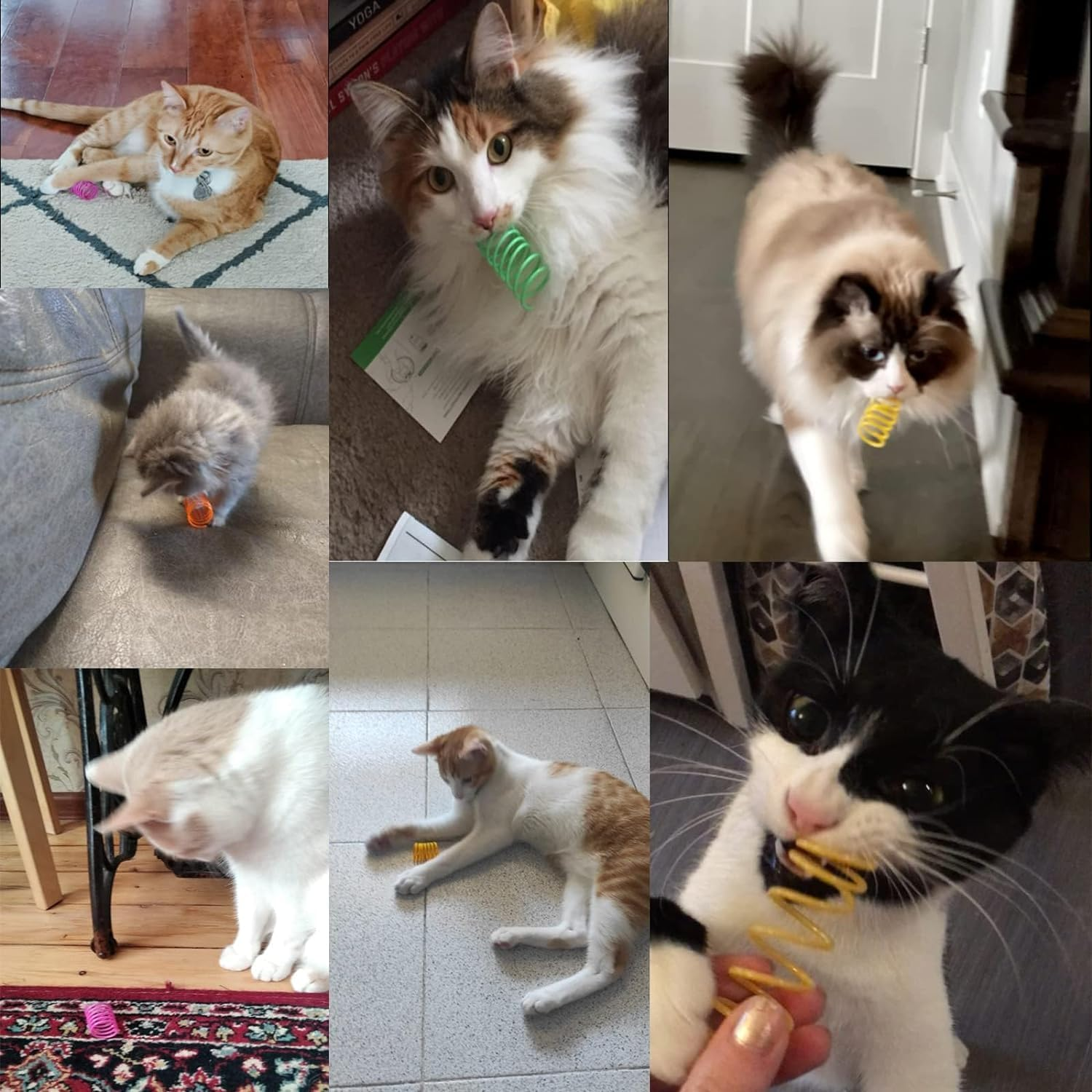 Mumoo Bear Cat Spiral Spring, 12 Pc Cat Creative Toy to Kill Time and Keep Fit Interactive Cat Toy Sturdy Heavy Plastic Spring Colorful Springs Cat Toy for Swatting, Biting, Hunting Kitten Toys image number 3