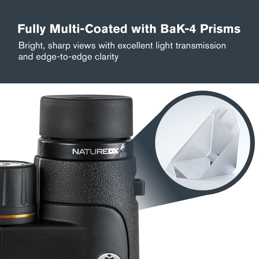 Celestron 72332 Nature DX ED 8X42 Binoculars - Premium Extra-Low Dispersion ED Glass Lenses Black image number 2