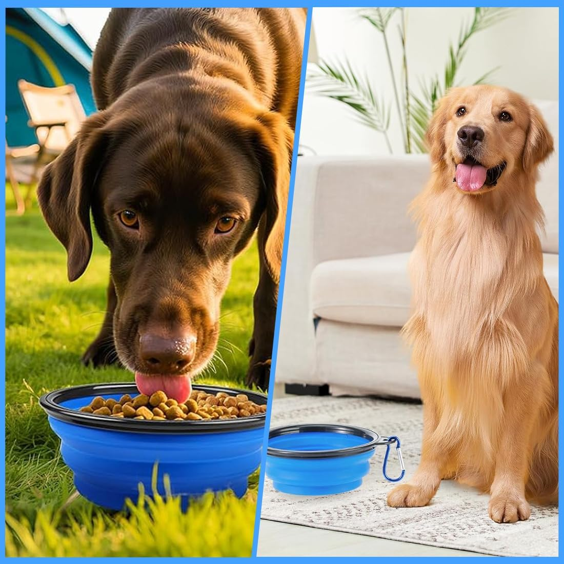 SGERUFZ Dog & Cat Travel Bowl Single Piece TPE and ABS with Silver Carabiner for Water & Food Ideal for Travel (Black Rim, Blue Body) image number 1