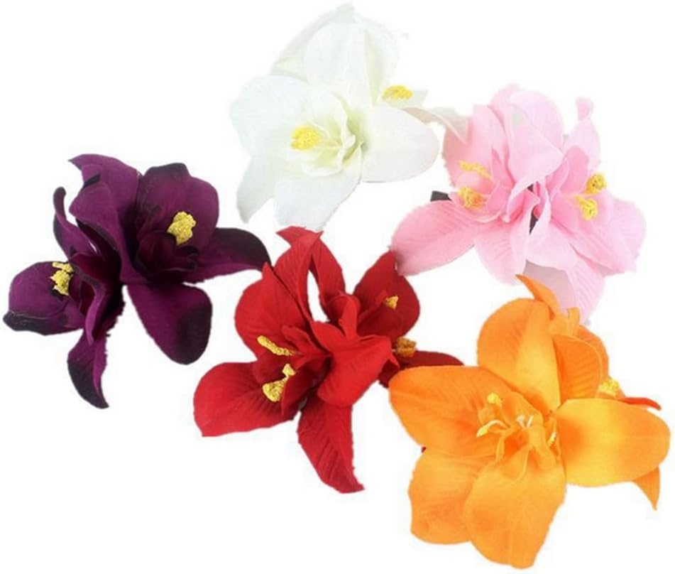 5Pcs Butterfly Orchid Hair Clips Bohemian Orchid Flower Hair Clip Double Hawaiian Flowers Barrettes Hair Accessories for Women Girls Wedding Party Holiday