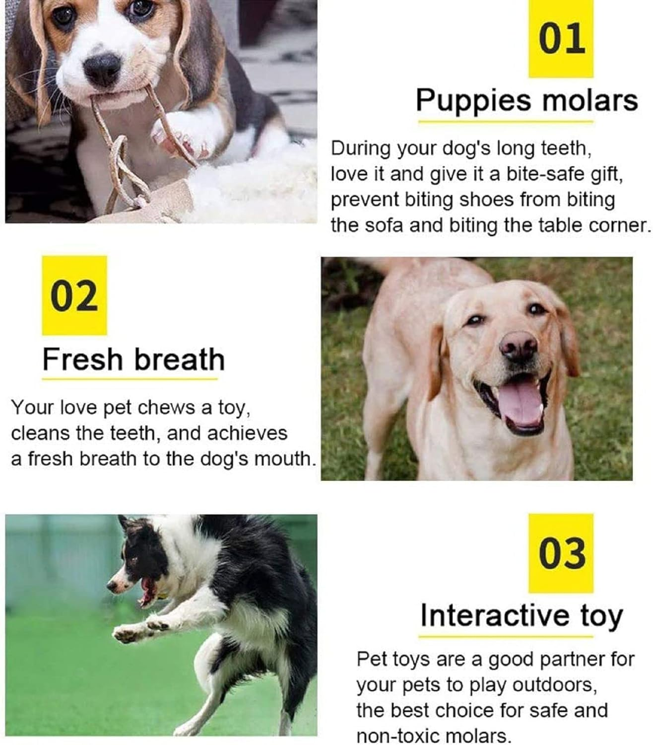 EZONEDEAL 10PC Dog Rope Toys Puppy Braided Rope Toys Set Pet Dog Teeth Cleaning Gift Chew Durable Interactive Cotton Toys Dental Health for Small Dog Playing image number 1