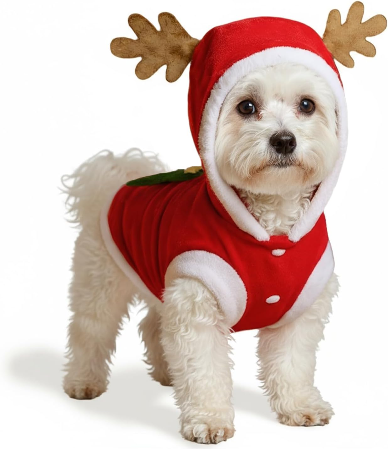 RUGBOL Dog & Cat Christmas Outfit, Cute Elk Pattern with Christmas Tree for Small, Medium & Large Dogs & Cats, New Year Party (M) image number 6