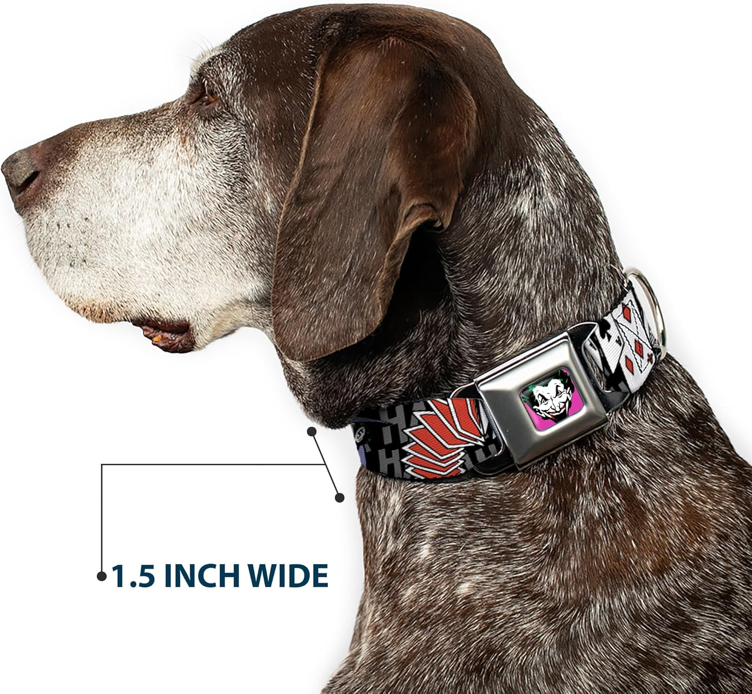 Buckle-Down Seatbelt Buckle Dog Collar - the Joker Pose/Cards/Hahahaha Black/Gray - 1.5" Wide - Fits 18-32" Neck - Large image number 3