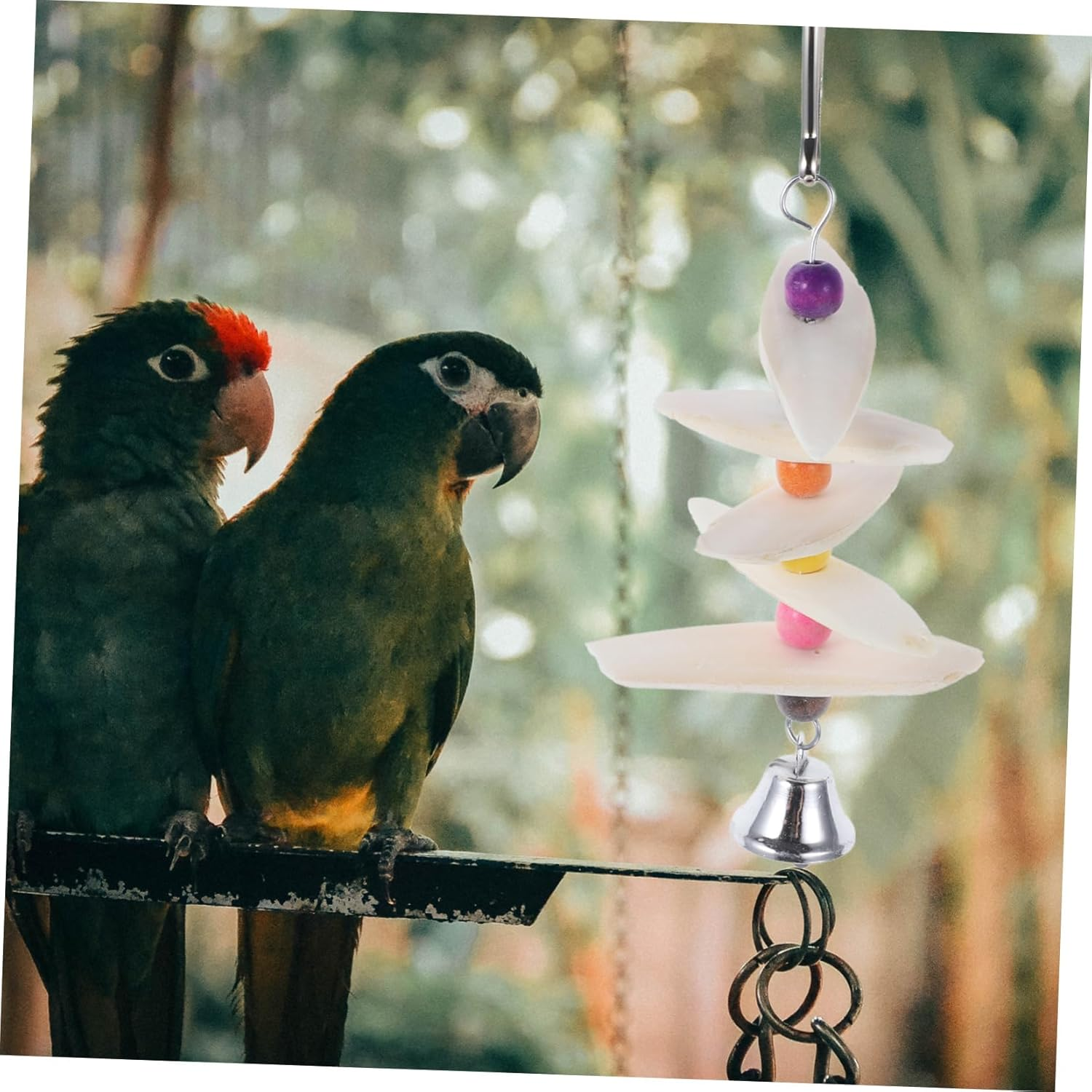 BESPORTBLE Natural Cuttlebone Toys for Pet Birds Parrot Chewing Toy Bird Beak Sharpener image number 3