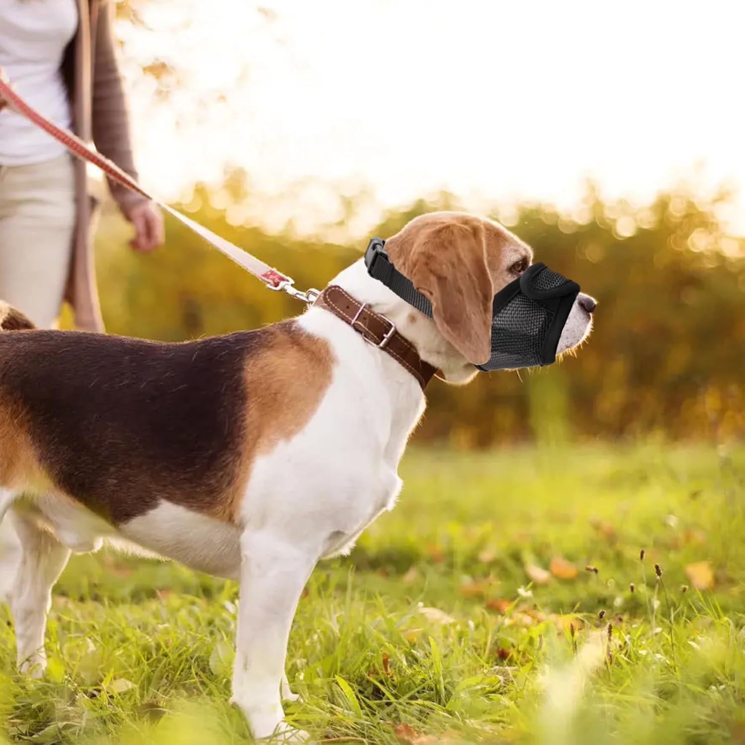 Viiotu Dog Muzzle, Adjustable Comfortable Anti-Bark Breathable Mesh Muzzle for Small, Medium Dogs, Secure Fit for Safe Breathing and Drinking (L)