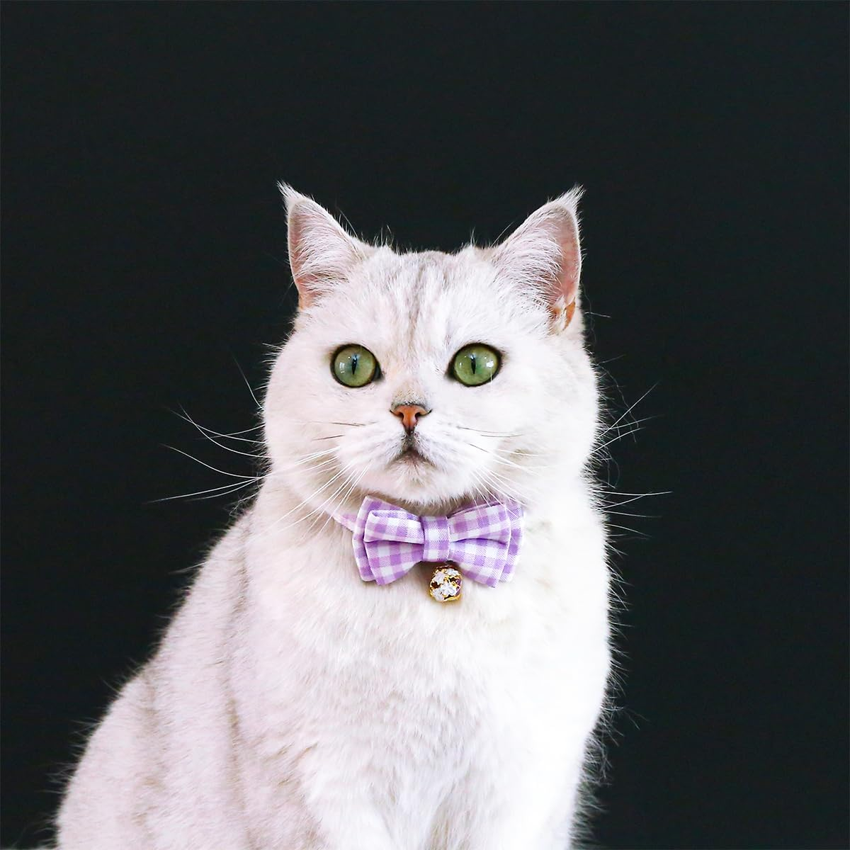 Ainvhh 4 PCS Cat Collar Summer Cat Collar with Removable Bow Ties, Cute Flower Plaid Kitten Collars with Bell, Quick Release Safe Buckle Adjustable Cat Kitten Collar for Kitty Adult Cats,Pet Supplies