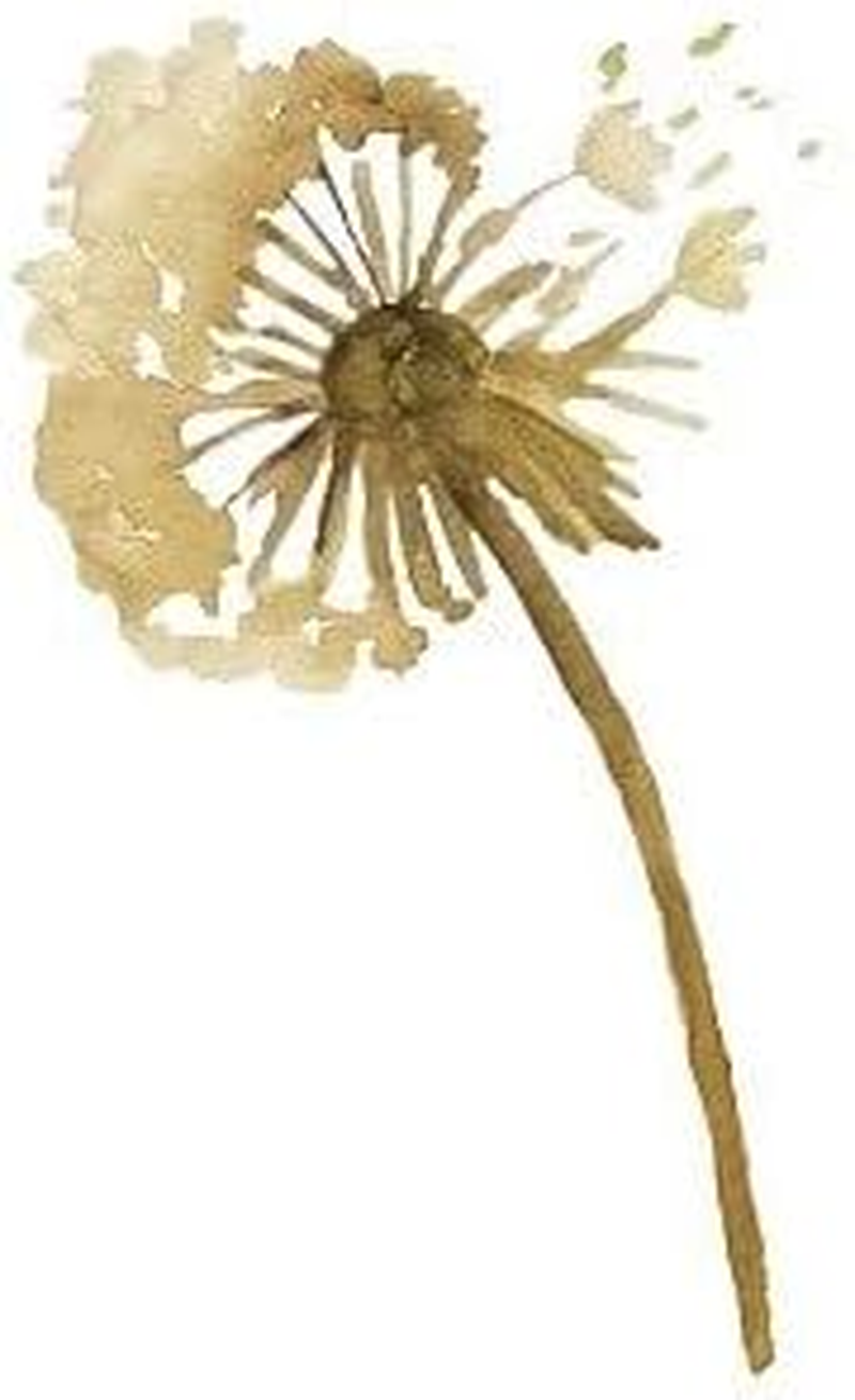 Dessata Anti-Tangle Brush Detangling Hair Brush Biocomp 100% Biodegradable & Compostable image number 5