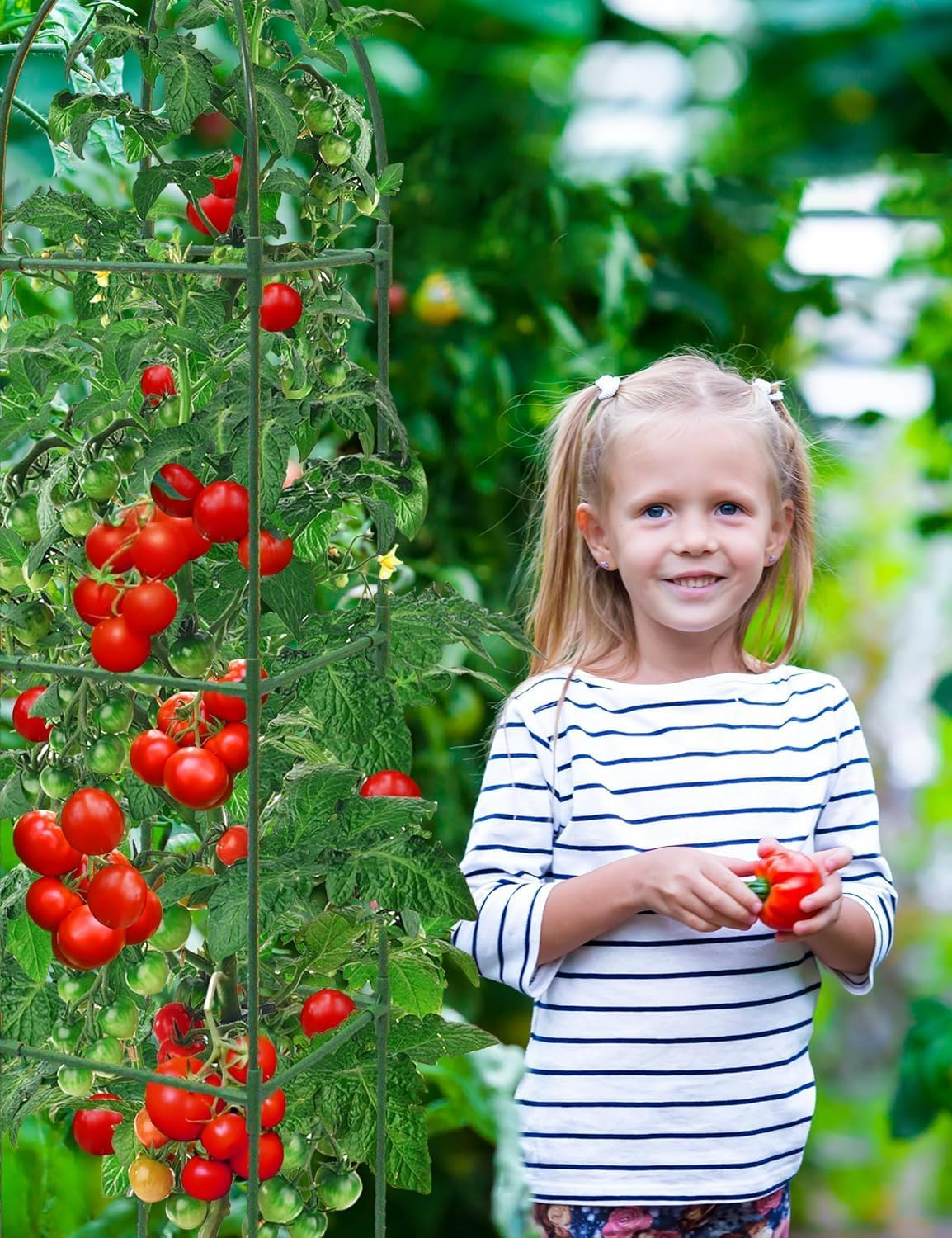 Garden Obelisk Trellis for Climbing Plants, 6FT Garden Obelisk Rustproof PE Coated Metal Potted Plant Climbing Support, Thickened Tube Plant Tower Trellis for Clematis Vine Support Indoor (2 Pack) image number 1