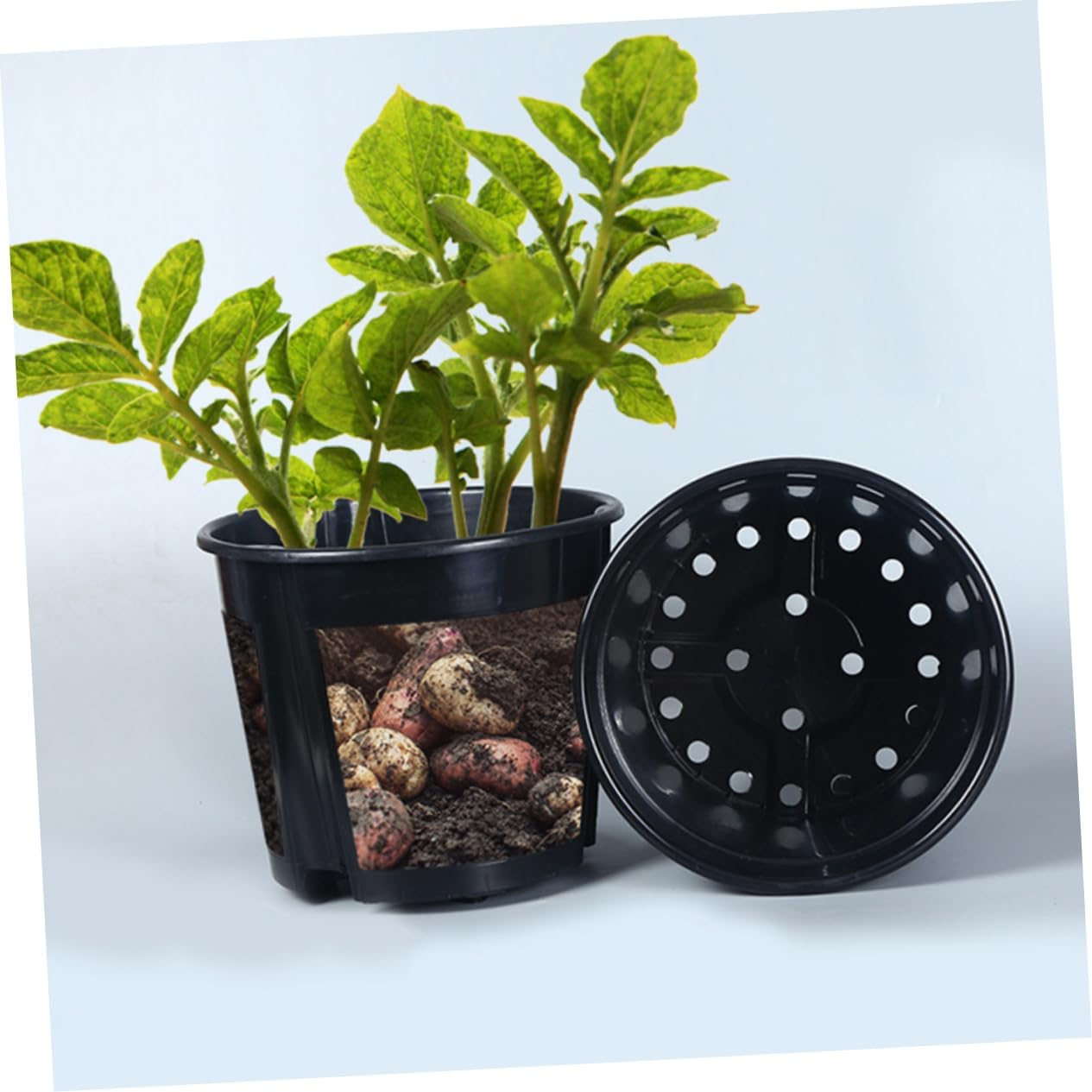 INOOMP 1Set Potato Planter Flower Pot for Gardening Includes Drainage for Optimal Water Circulation for Vegetables Flowers