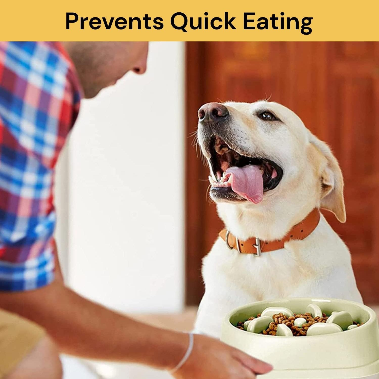 Dog Feeder Slow Eating Pet Bowl Eco-Friendly Durable Non-Toxic Preventing Choking Healthy Design Bowl for Dog Pet Non-Slip Drink Water Bowl Square Base (Light Pink) image number 1