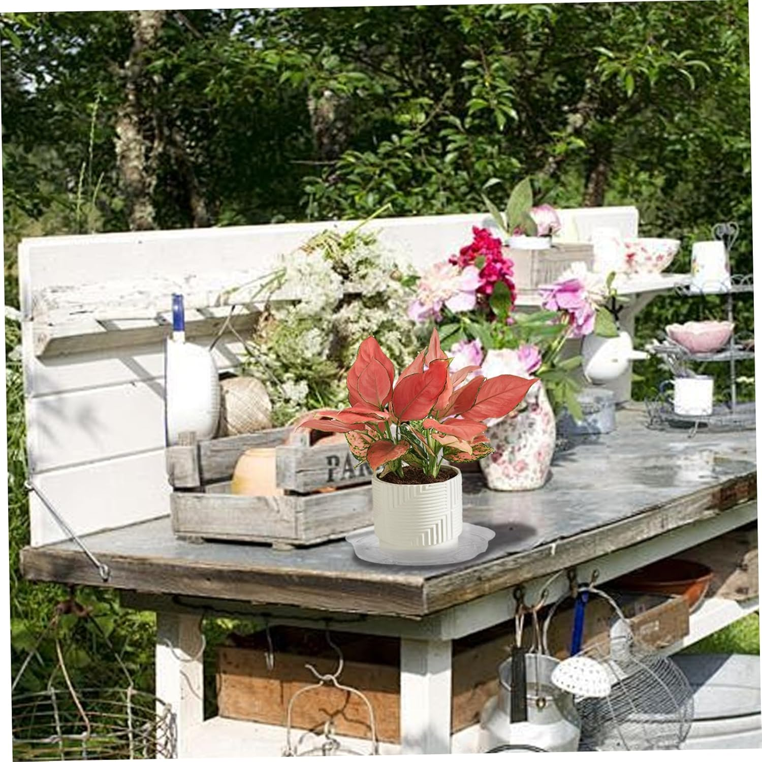 Plant Saucer 20Pcs 8 Inch round Plant Tray Non-Slip PP Plant Pot Saucers Waterproof Transparent Plant Drip Trays for Indoor Outdoor Gardening Supplies Plant Drip Trays Plant Pot Saucers Plant Tray image number 3