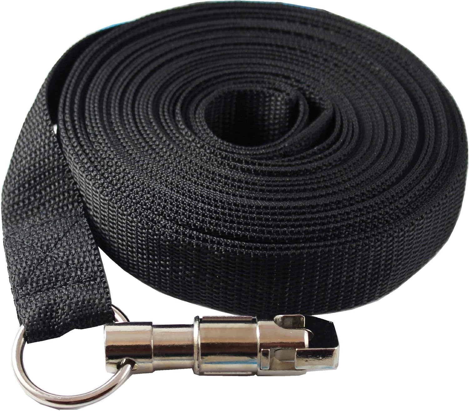 Dog Leash 1" Wide Nylon 10 Feet Extra Long for Training Secure Locking Snape Locking Snap