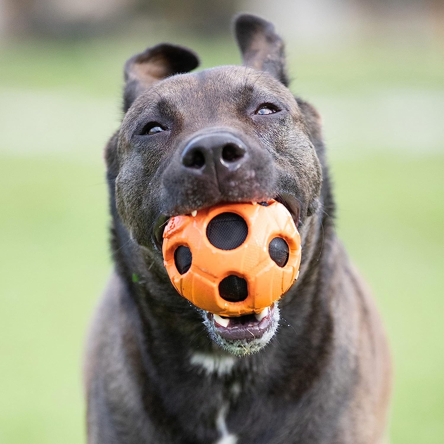 Nerf Products 3220 Bash Crunch Ball, Large, Orange, One-Size-For-Most image number 4