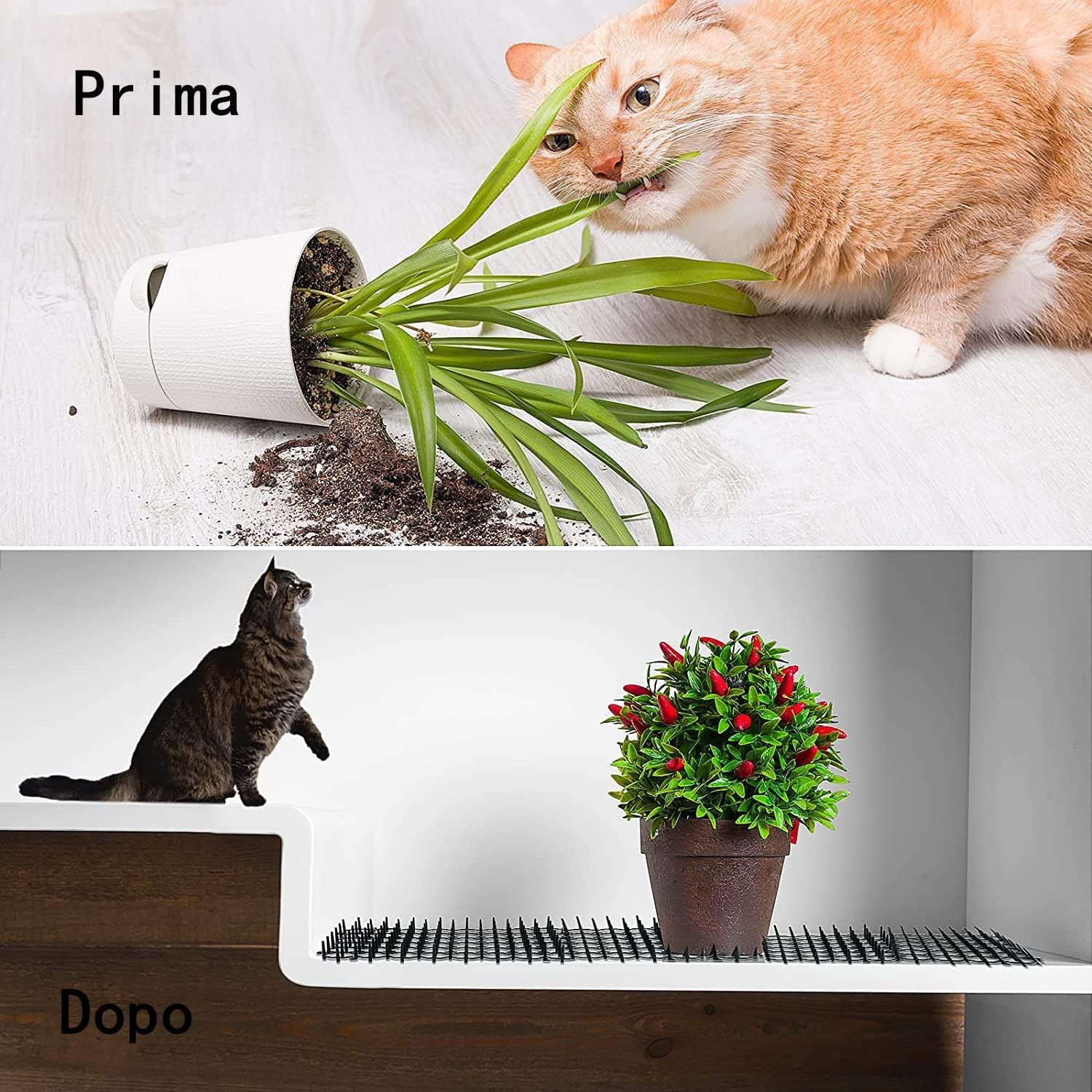 LATRAT 12 Cat Protection Mats + 4 Rungs U Shape Plastic Cat Repellent Pads for Gardening with Tips (20 X 15.5 Cm) image number 2