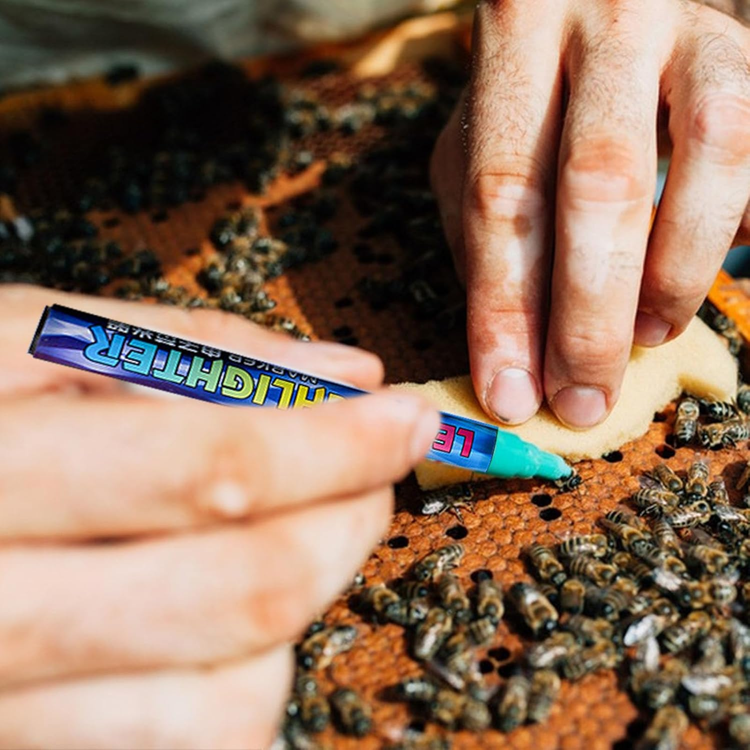 Bee Queen Marker Kit - Multi-Color Beekeeping Marker Set, Safe Quick Dry Pen | Bright Color Application with Precise Control Feature, Perfect for Queen Bee Marking Hive Organization Apiary Maintenance image number 6