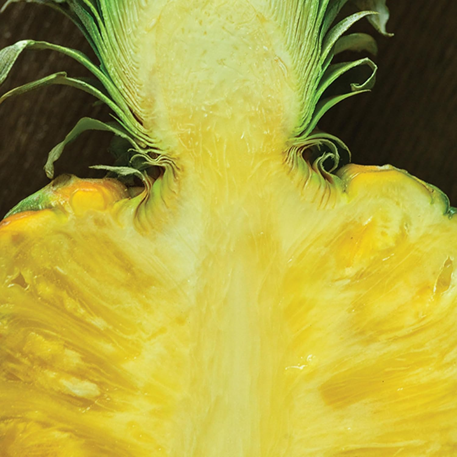 Ralph Lauren Polo 67, Eau De Toilette for Men, Calabrian Bergamot & Pineapple Accord , 75Ml