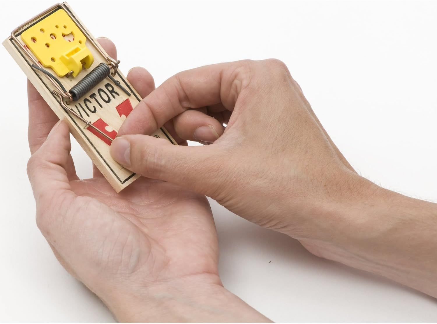 Victor Easy Set Mouse Traps (4 Pieces) - Pre-Bait Impact Traps with Large Release Pedal for Easy and Quick Mouse Control - Non-Toxic and Recyclable - Mod. M032 image number 6