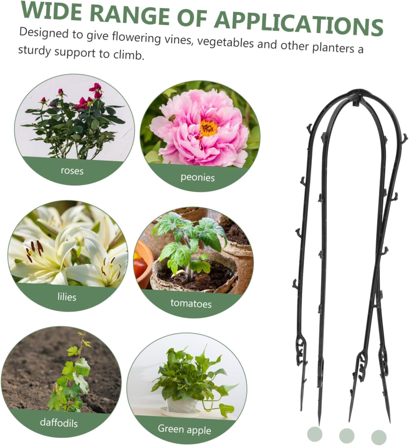 BESPORTBLE 6Pcs Indoor Plant Trellis Plastic Climbing Rack Comfortable Hand Feeling Gardening Plant Accessories