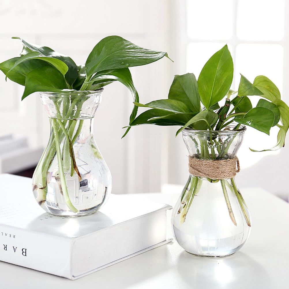 Happyyami 2Pcs Hyacinth Vase Ikebana Vases Vintage Glass Vase Glass Terrariums for Plants Vintage Flower Vase Hyacinth Bulb Vase Hydroponic Bottle Vases Flower Arrangement Container Planter image number 2