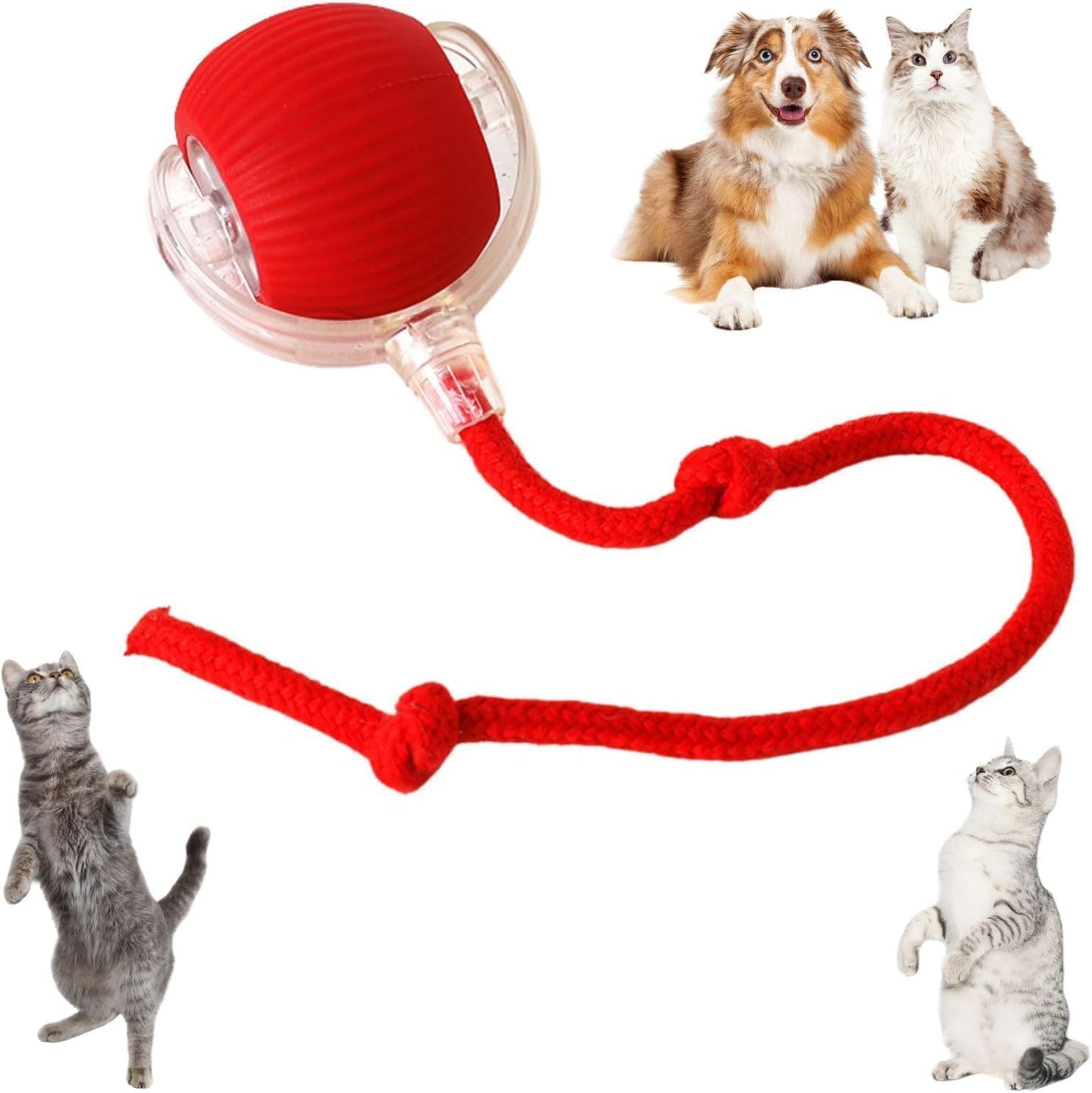 Interactive Cat Toy Ball, Active Smart Rolling Balls for Cat, Electric Toy Balls for Indoor Cats