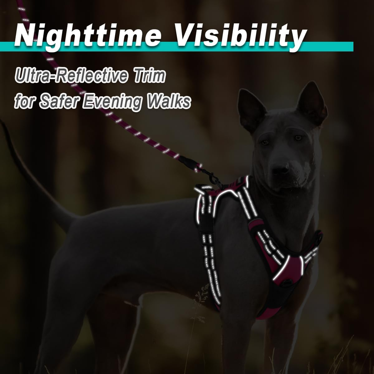 BARKBAY No Pull Pet Harness Dog Harness Adjustable Outdoor Pet Vest 3M Reflective Oxford Material Vest for Pink Dogs Easy Control for Small Medium Large Dogs (L) image number 1