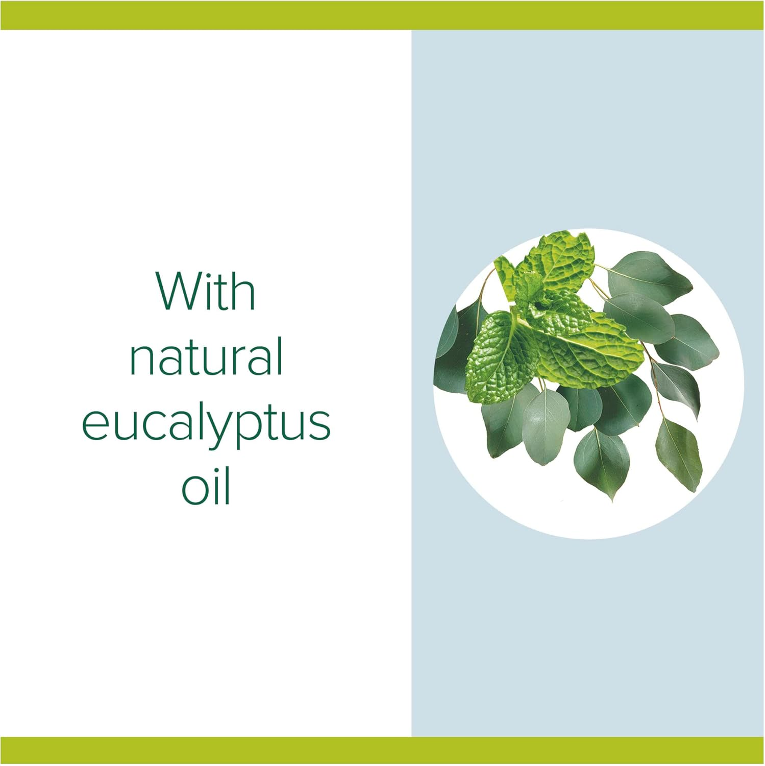 Palmolive Instant Antibacterial Hand Sanitiser, 950Ml, Mint and Eucalyptus with Eucalyptus Oil, Kills Germs, No Rinse image number 5