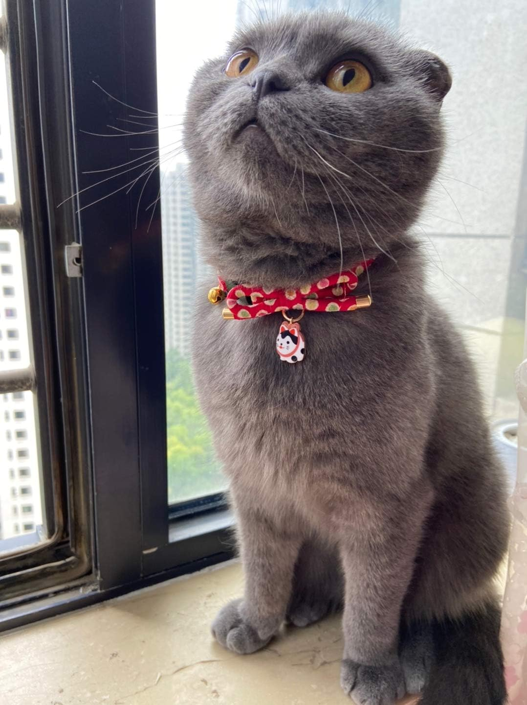 Petsokoo Cute Bowknot Cat Collar with Bell. Japan Colorful Polka Dots Pattern. Lucky Cat Charm. Safety Breakaway, Soft, for Girl Boy Male Female Adult Cats,Red image number 1